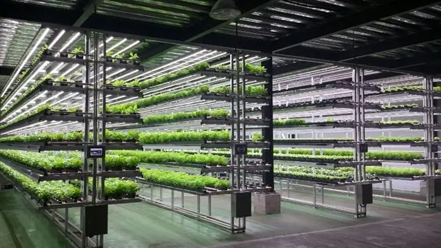 Vertical farming