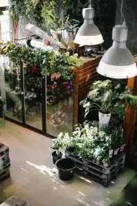 Florist