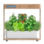 Smart garden med vand og lys