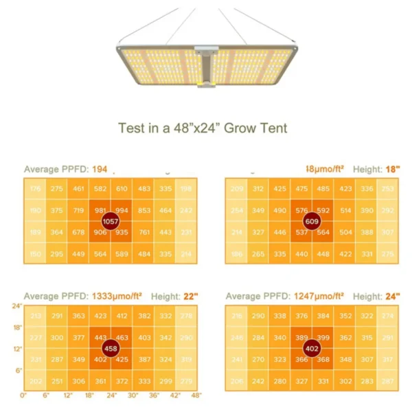 kvantkort ppfd diagram