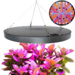 Round Grolys pendant light