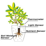 soil moisture meter