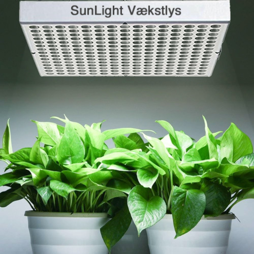 Vækstlys LED pendel 60° fuldspektrum hvidt lys SL250W