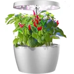 Ecoo Grower chili planter