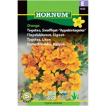 Tagetes smalfliget Appelsin