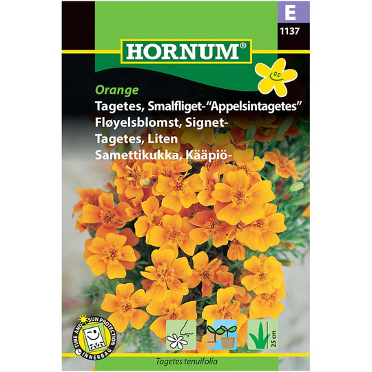 Tagetes smalfliget – Appelsintagetes | Orange