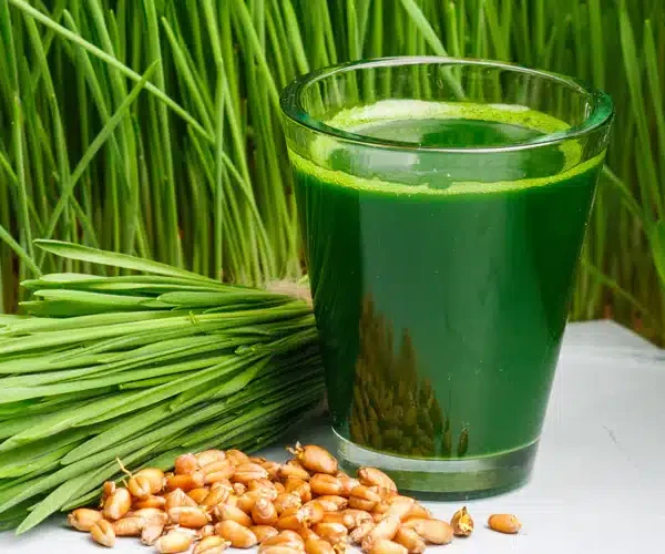 Wheatgrass seeds and grains, wheatgrass juice