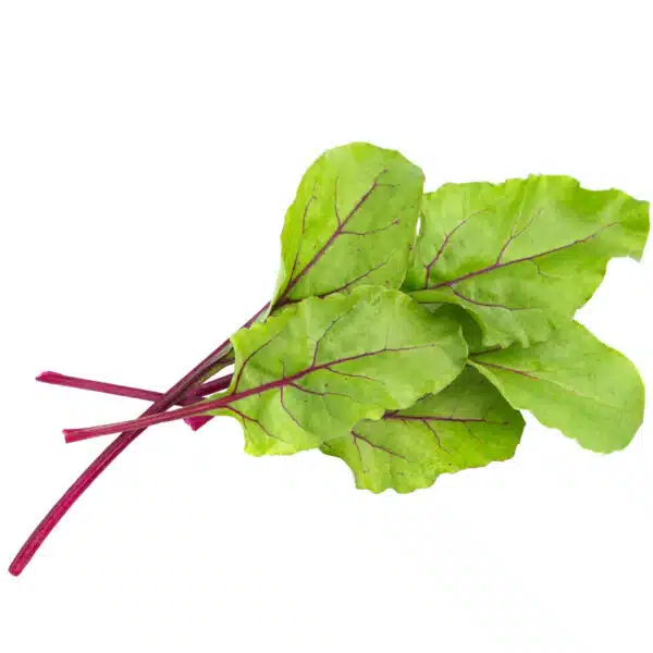 rødbede babyleaf