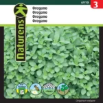 oregano vild