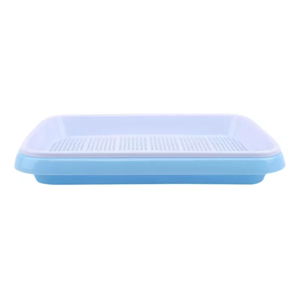 plant sprout tray