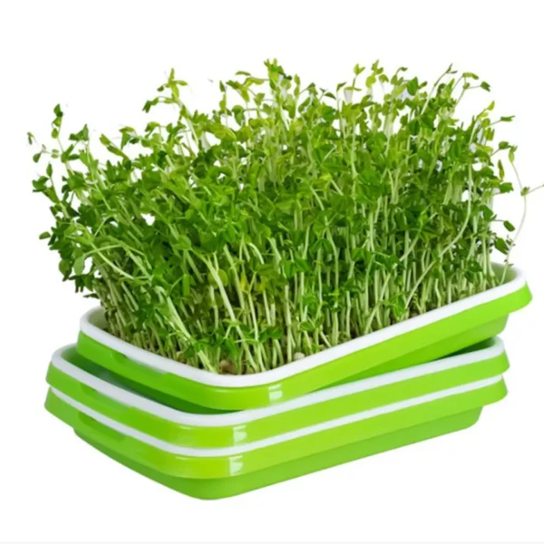 Microgreen sprout tray