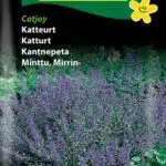 Katteurt - catjoy frø