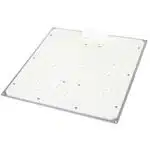 Quantum Board Wachstumslicht 100 W