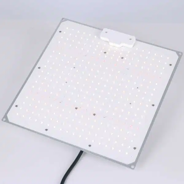 Quantum Board Wachstumslicht 100 W