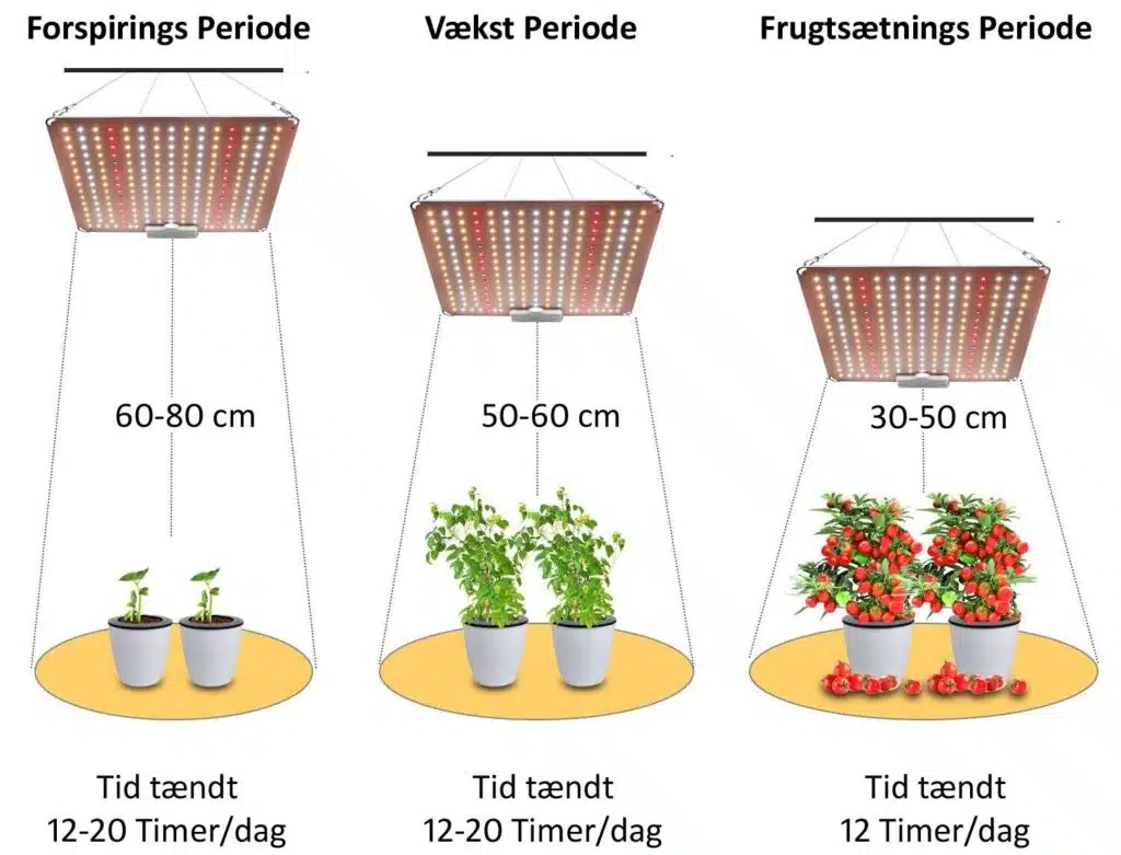 Hvor nær skal lampen min henge plantene?