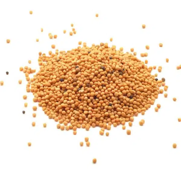 White Mustard seed