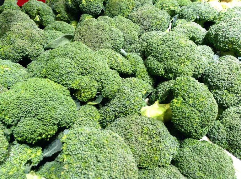 Broccoli planter