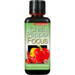 Chili & Pfeffer Fokus 300ml