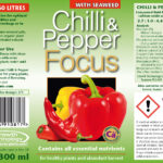 Chili & Pfeffer Fokus 300ml