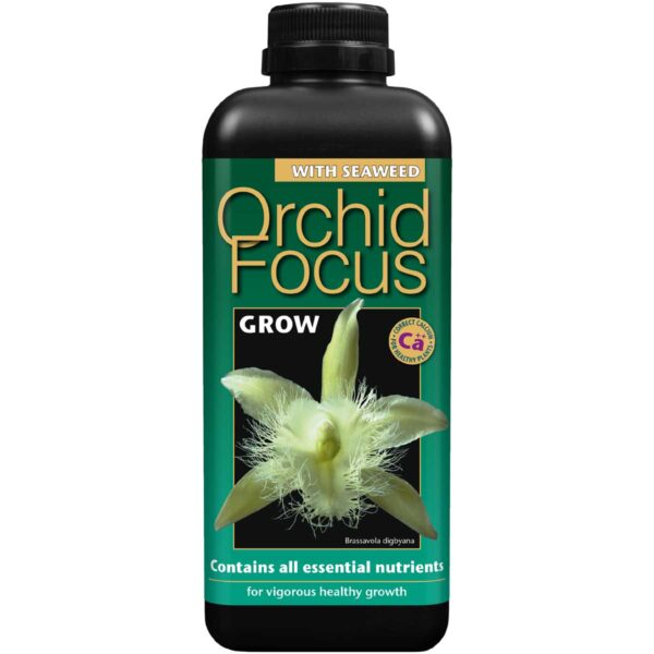 Orkide Focus Grow – orkide gødning 1L