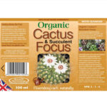 Organic Cactus & Succulent Focus