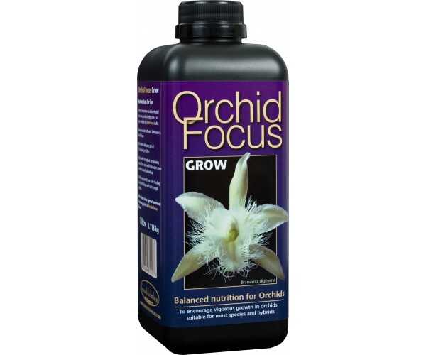 Orkide Focus Grow 1L