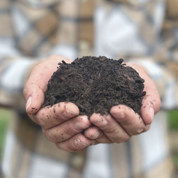 Compost from willow