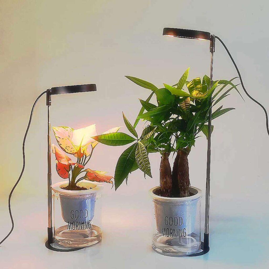 Grow light for potted plants, Black lamp