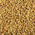 fenugreek seeds