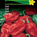 Scotch Bonnet Jamaican Red