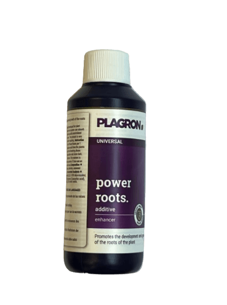 Plagron Power Roots 100ml