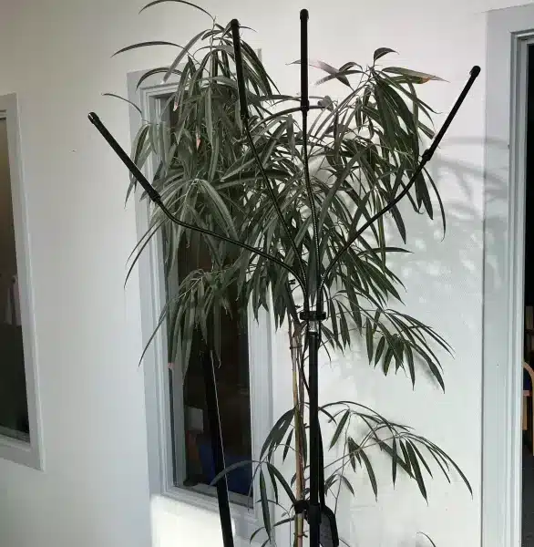 Ståenede 4 armet Grolys lampe