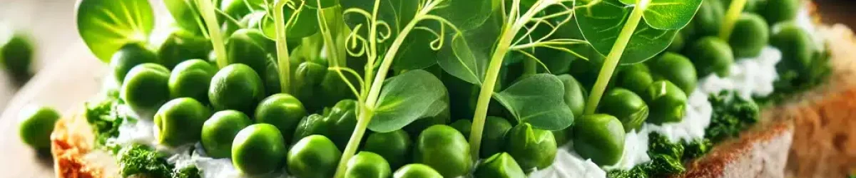 DALL-E 2025-03-21 11.11.18 - A close-up, high-quality image of a delicious open-faced sandwich topped with microgreens from pea shoots (pea seeds). The sandwich is on rustic whole g
